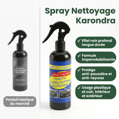 Spray Nettoyant Karondra — Intérieur & Extérieur