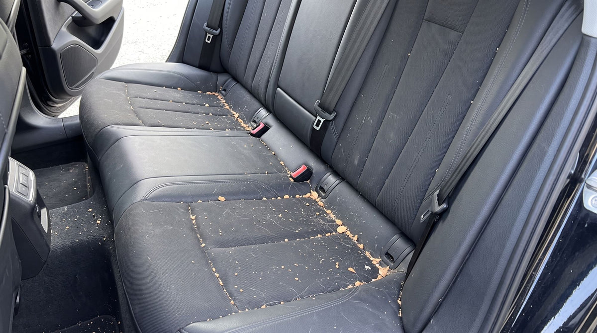 Siège de voiture sale avant nettoyage avec l'Aspirateur Karondra